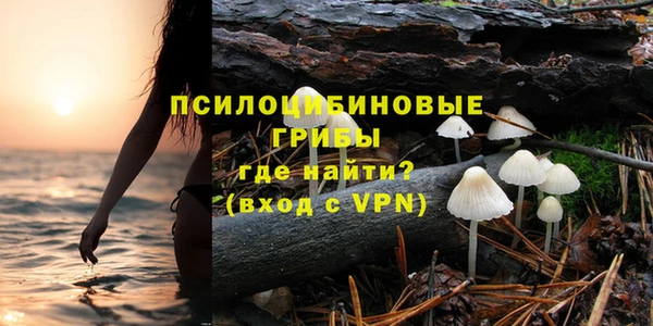 прущие крисы Алексеевка