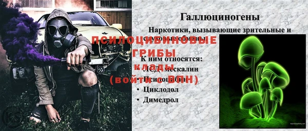 гидропоника Абаза